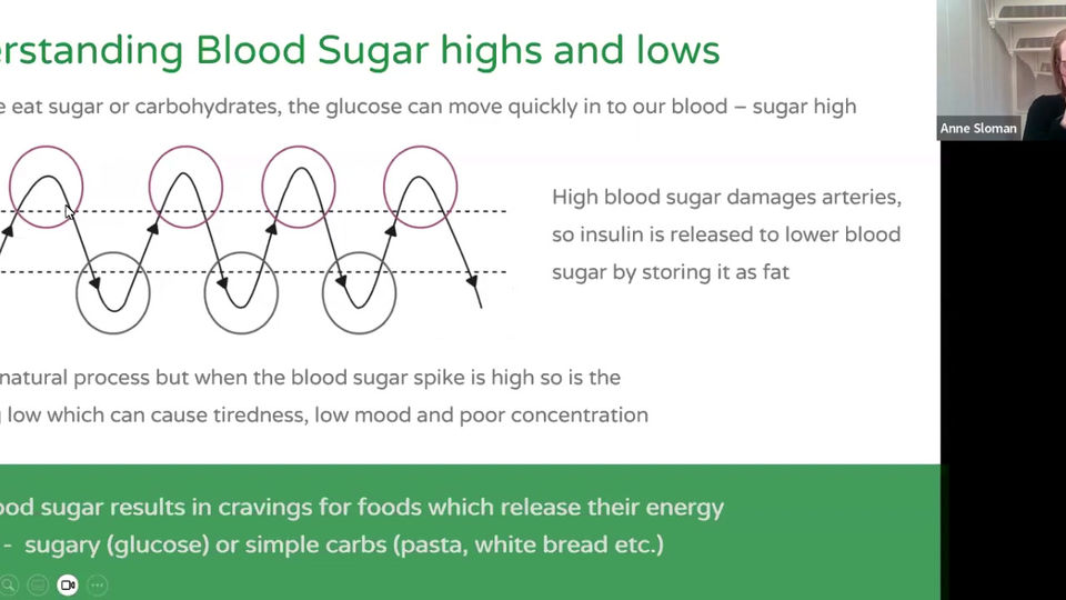Blood Sugar Balance Intro